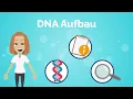 DNA Structure Explained Simply!