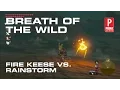 Zelda Breath of the Wild Fire Keese caught in rainstorm