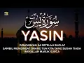Download Lagu SURAT YASIN MERDU MENYENTUH HATI IRAMA HIJAZ