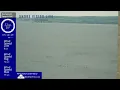 Kayakers
