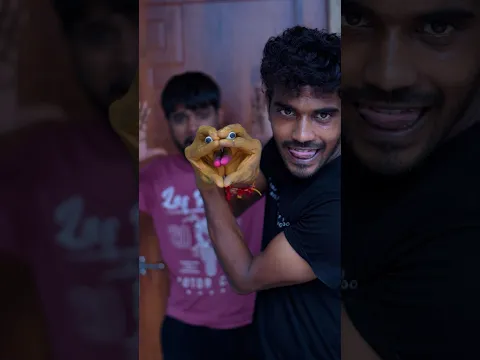 Snake Attack #Shorts #youtubeshorts #snake #trending #viral #foryou