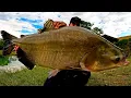 Download Lagu SISTEMA SIMPLES QUE GARANTE MUITO PEIXE NA PESCARIA DE SUPERFÍCIE!