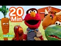 Farm Songs with Farmer Elmo 20 Mins Sesame Street