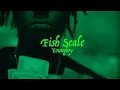 NBA Youngboy - Fish Scale