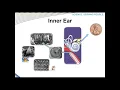 Sound and Noise Basics - SKC s Andy Bragg