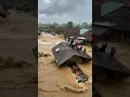 Lagu Rumah Tenggelam, Beberapa Warga Terseret Arus Banjir! (Simulasi Ai)