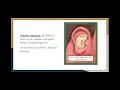 Module 10 Information Processing - Google Slides