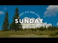 Download Lagu 𝗦𝗨𝗡𝗗𝗔𝗬 𝗝𝗔𝗭𝗭 𝗟𝗜𝗩𝗘 | On a hill with a fresh breeze, Sunday jazz for autumn 🌲 | #NoAImusic