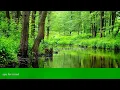 Download Lagu Relaksējoša mūzika, ar dabas skaņu ūdens, upes, putni   meditācija