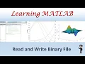 MATLAB Read and Write Binary File