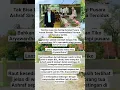 Download Lagu Tak Bisa Lupa dan Sering Datangi Pusara Ashraf Sinclair, Tiko Aryawardhana Terciduk Bereaksi ke BCL