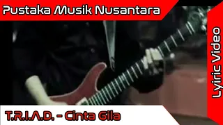 t r i a d cinta gila official video 