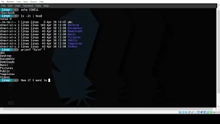 Bash shell usage of ls and printf command