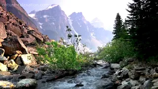 سلام سلام يحيى حوى 