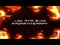 Quick Fix for Pit Boss Igniter Rod