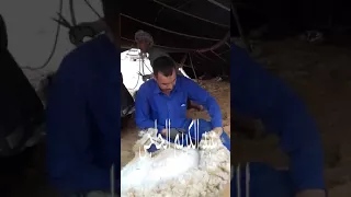 موسم جز الاغنام تراث من الجنوب 