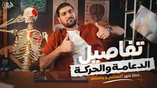 تفاصيل كورس الدعامة والحركة 2026 خطة شهر 8 و 9 بالتفصيل 