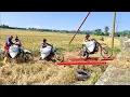 Download Lagu Ojek gabah saling kejar-kejaran demi janda pirang
