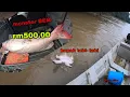 Download Lagu ARAN UMPAN UDANG GALAH MEGENA BAPAK LABI-LABI,HARGA BAUNG EKOR MERAH RM500 SEEKOR