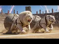 Lagu Lion Vs Tiger | Epic Cinematic war | Final answer to who's the boss
