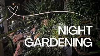 Nothing weird about gardening at night 😆