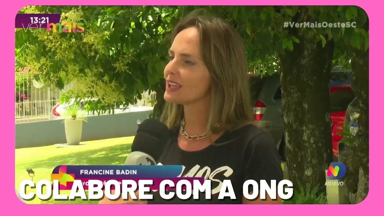 Brechó +Vira-Lata: ONG está arrecadando roupas para ação