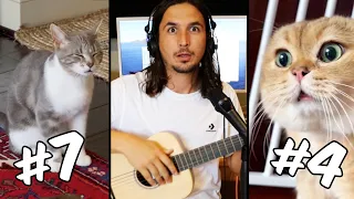 top 10 cat songs of all time 2026 update 