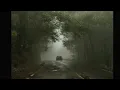 Download Lagu Rosyln - Bon Iver \u0026 St. Vicent ( 1 hour )