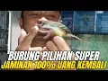 Download Lagu BURUNG PILIHAN SUPER DI BEKASI‼️ UANG KEMBALI 100% BILA TAK COCOK🔥