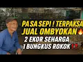 Download Lagu KASIHAN SI PAKDE! KONDISI PASAR SEPI, BURUNG OMBYOKAN 2 EKOR DIJUAL SEHARGA ROKO SEBUNGKUS‼️