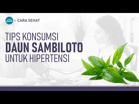 Aturan Konsumsi Daun Sambiloto Untuk Hipertensi | Hidup Sehat tvOne