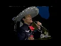 Pedro Fernandez - Mi Forma De Sentir (Video Original HQ)[HD]