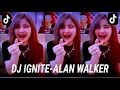 DJ IGNITE-ALAN WALKER VIRAL TIKTOK YANG KALIAN CARI