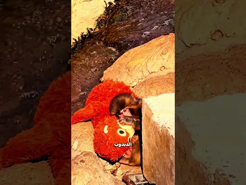 أمه سابته وهو صغير… فلقى أمه في دبدوب! 😭🧸