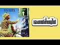 syam - เธอเปลี่ยนไป  (พ.ศ.2545)