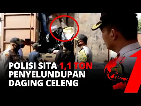 Polisi Sita 1,1 Ton Penyelundupan Daging Celeng di Lampung