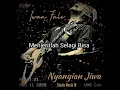 Lagu Status Story WA IG Iwan Fals || Nyanyian Jiwa