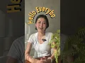 THREE GRAPES - Intern Interviews