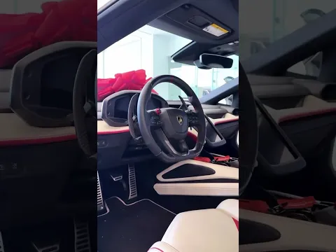 Another Day, Another Lambo 🎁