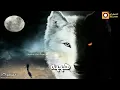 دارت دنيتي ☆☆اجمل شعر عراقي حزين ♡