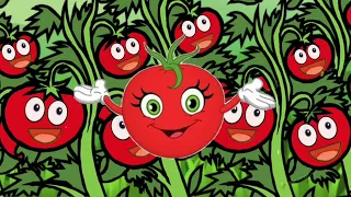 أغانى أطفال أنا البندورة الحمراء أناشيد للحضانة 