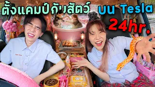 ตั้งแคมป์บนรถ Tesla 24 hr. กับสัตว์ทุกตัว!