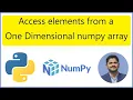 How to access elements from a One-Dimensional numpy array in Python