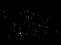 Fire Particles Effect Glowing Embers At Night 4K Video