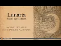 Piano Nocturnes: Lunaria (Antonio Eros Negri)