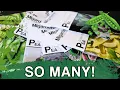 Complete Seed Shopping Guide To Understanding PEAS