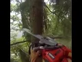 Download Lagu Cyberpunk tree meme