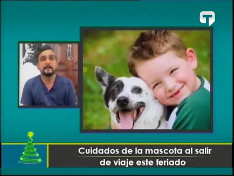 Cuidados de la mascota al salir de viaje este feriado