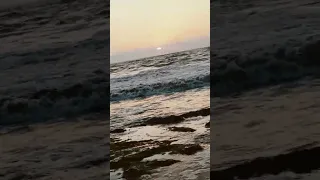موج الدنيا اناني وعالي دندنها