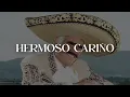 Vicente Fernández — Hermoso Cariño [Letra]